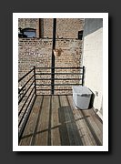 Use - Back Deck.jpg